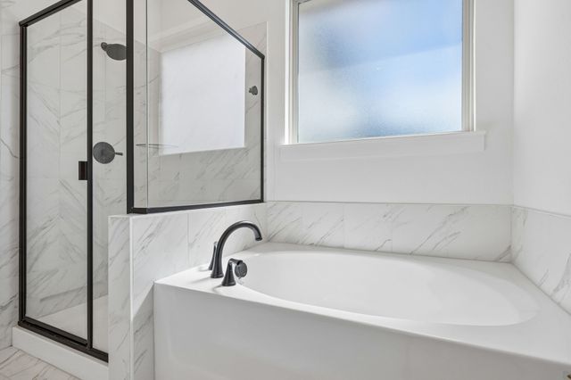 7113 Indian Paint Brush Lane, Little Elm, TX 76227