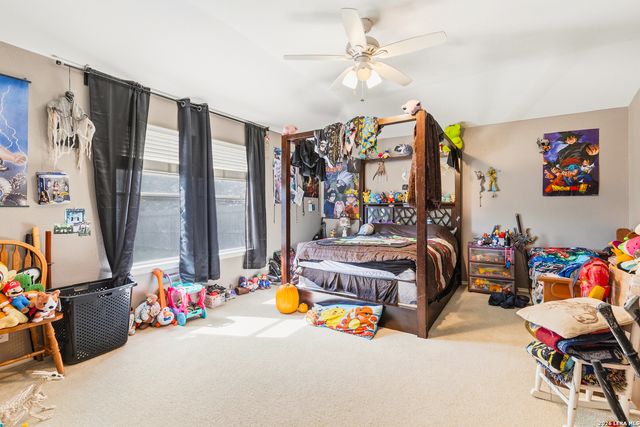 11918 PEACH XING, Helotes, TX 78023