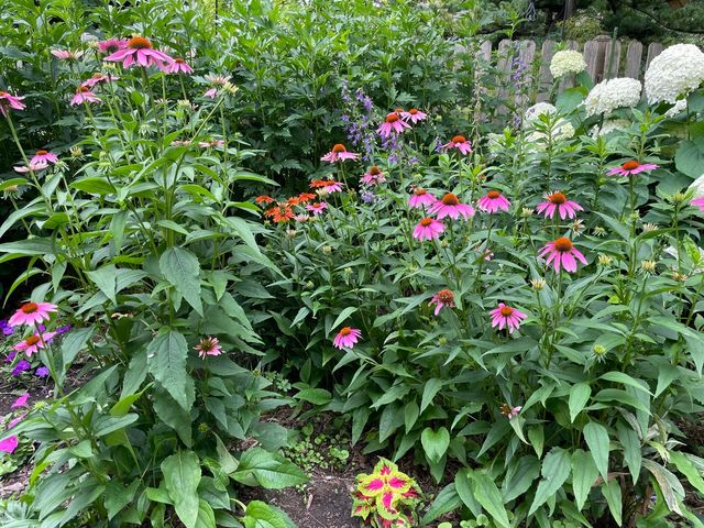 336 Hamilton Avenue, Elgin, IL 60123