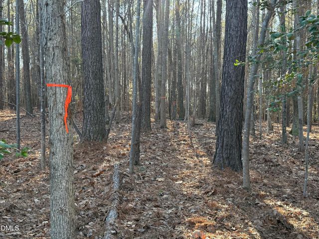 01 Massey Road, Zebulon, NC 27597