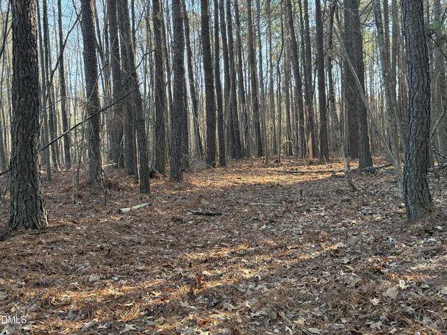 01 Massey Road, Zebulon, NC 27597