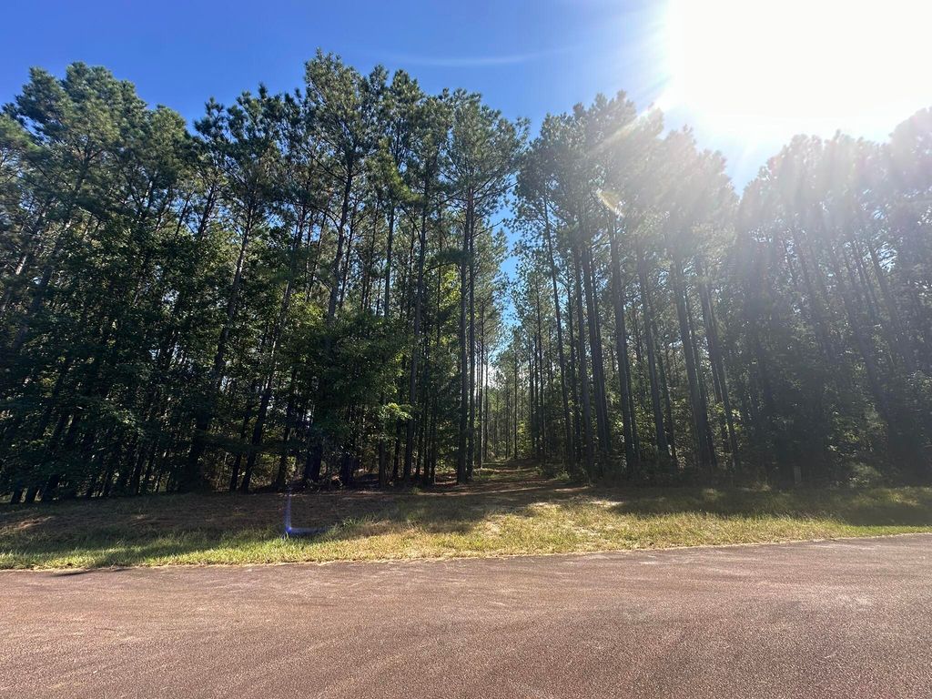 Lot 32 Petersburg, Lincolnton, GA 30817