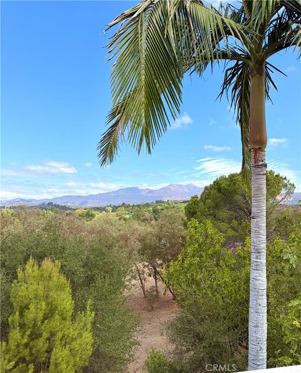 31801 Via Pato, Coto De Caza, CA 92679 — photo 3