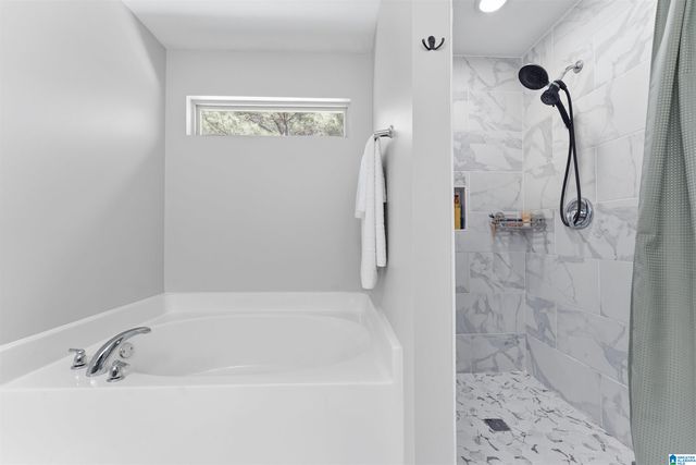 205 CHESSER RESERVE DRIVE, Chelsea, AL 35043