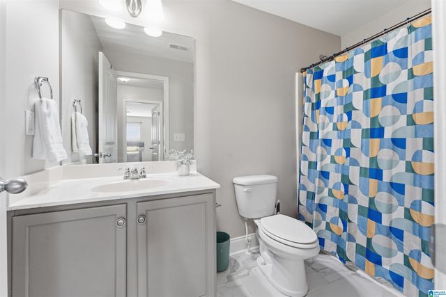 205 CHESSER RESERVE DRIVE, Chelsea, AL 35043