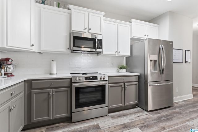 205 CHESSER RESERVE DRIVE, Chelsea, AL 35043