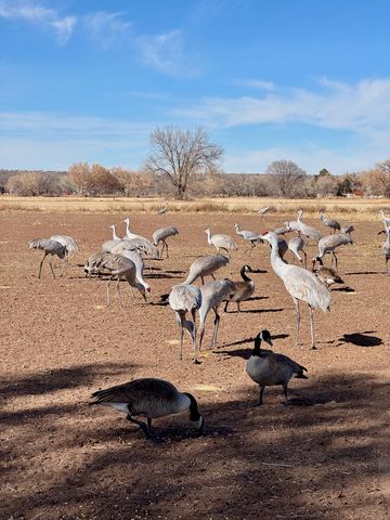 5901 Tierra Viva Place NW, Albuquerque, NM 87107