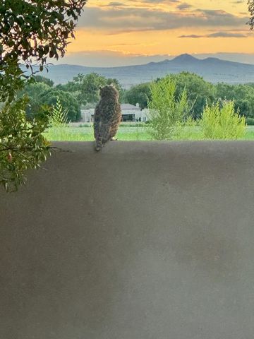 5901 Tierra Viva Place NW, Albuquerque, NM 87107