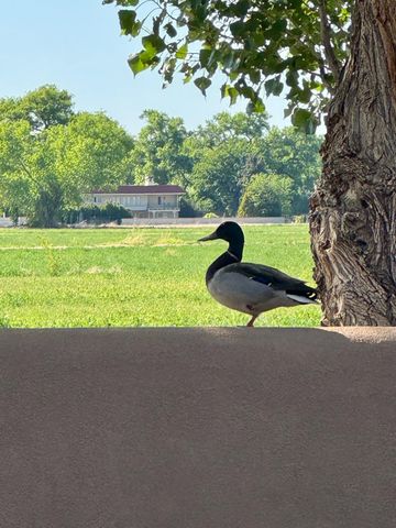 5901 Tierra Viva Place NW, Albuquerque, NM 87107