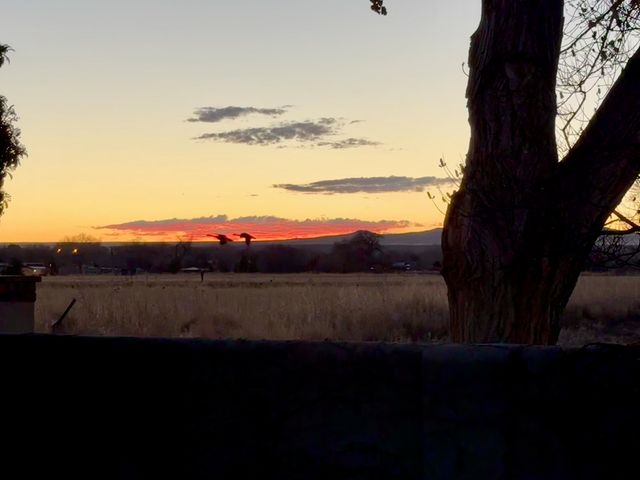 5901 Tierra Viva Place NW, Albuquerque, NM 87107