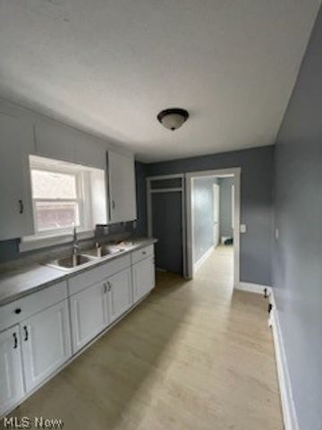 12201 Erwin Avenue, Cleveland, OH 44135