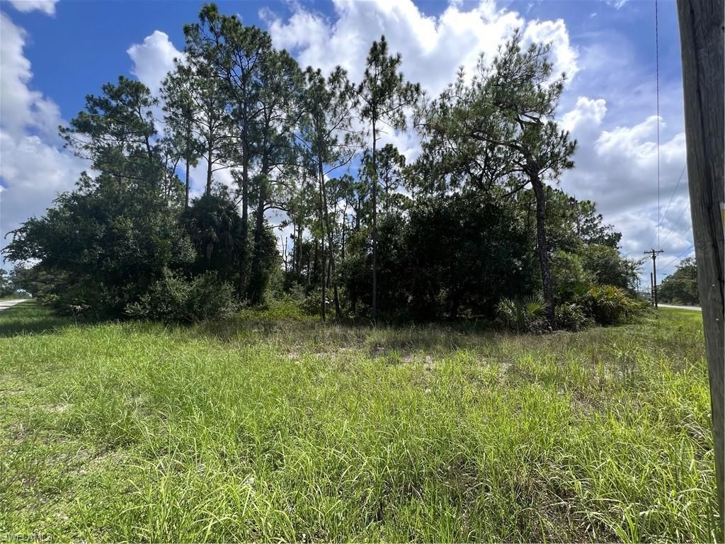4301 E 10th ST, LEHIGH ACRES, FL 33972 — photo 2