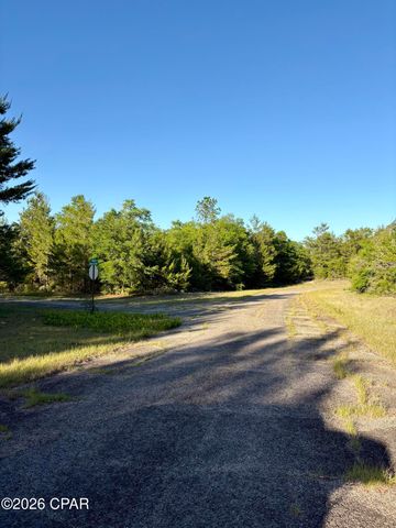 Lot 3 Abbott Street, Chipley, FL 32428