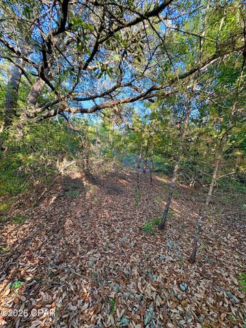 Lot 3 Abbott Street, Chipley, FL 32428