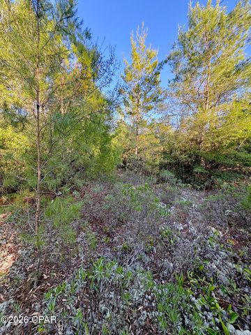 Lot 3 Abbott Street, Chipley, FL 32428