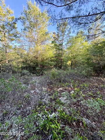 Lot 3 Abbott Street, Chipley, FL 32428
