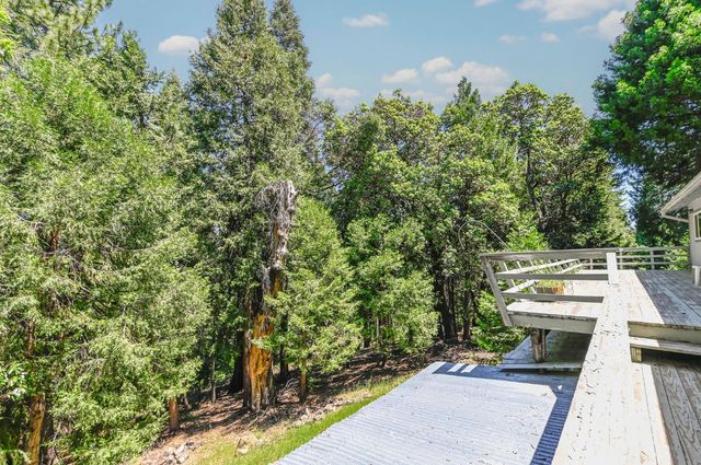 16584 Meadow Vista Dr, Pioneer, CA 95666