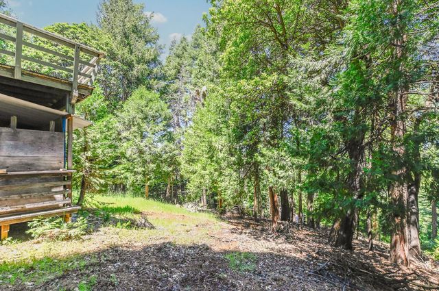 16584 Meadow Vista Dr, Pioneer, CA 95666