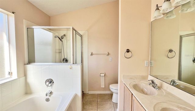 337 SILVER PALMS CIRCLE, Davenport, FL 33837