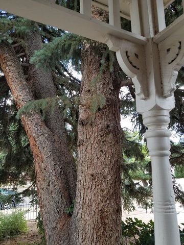 230 E 6th St, Walsenburg, CO 81089