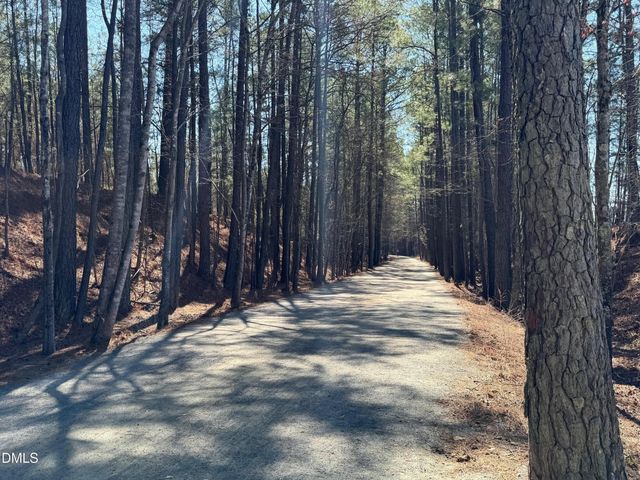 1390 Sparkling Lake Drive Lot 73, Apex, NC 27523