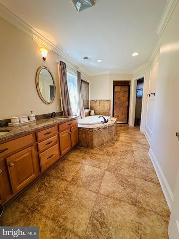 6413 DIVINE ST, Mclean, VA 22101