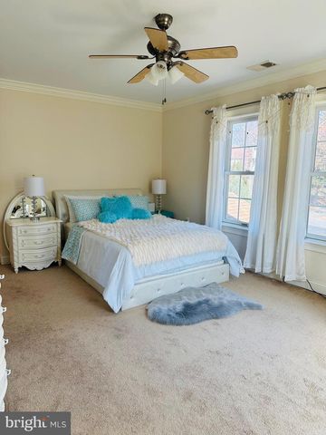 6413 DIVINE ST, Mclean, VA 22101