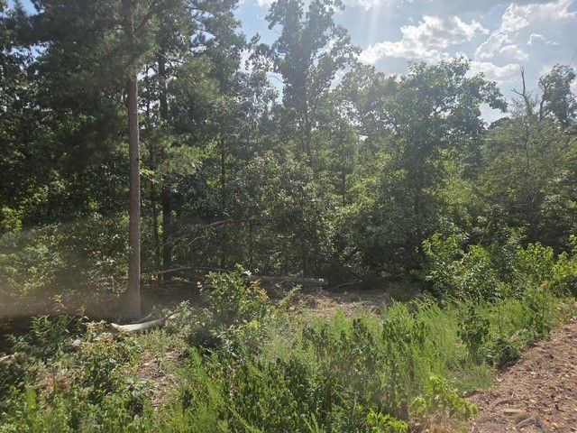 TBD Wakefield Lane, Bella Vista, AR 72715