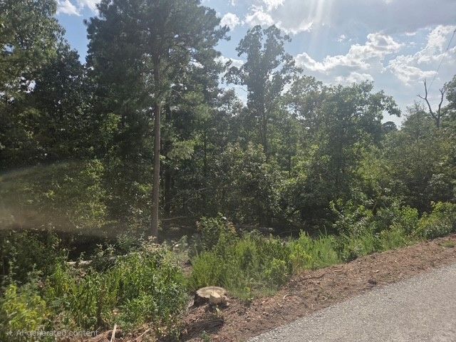 TBD Wakefield Lane, Bella Vista, AR 72715
