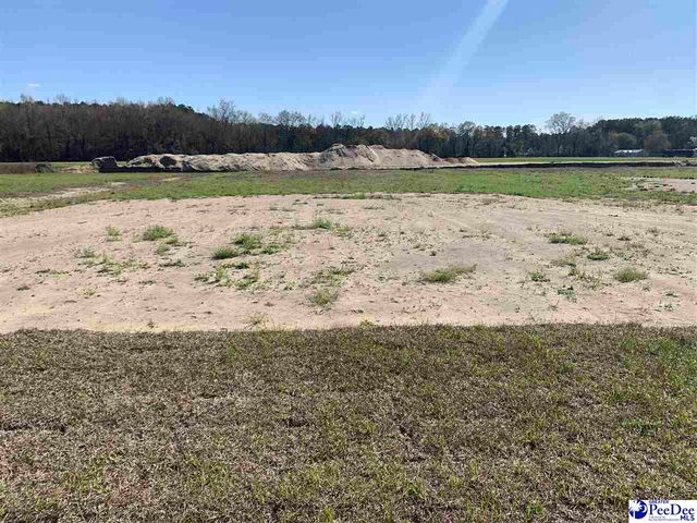 4966 E National Cemetery Road, Florence, SC 29506