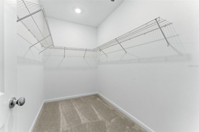 2341 WHITE BUFFALO STREET, Apopka, FL 32703