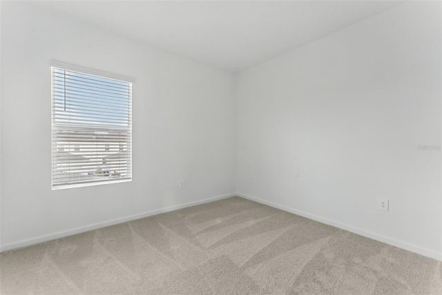 2341 WHITE BUFFALO STREET, Apopka, FL 32703