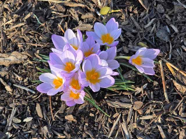 9194 Gramford Street, Columbus, OH 43240