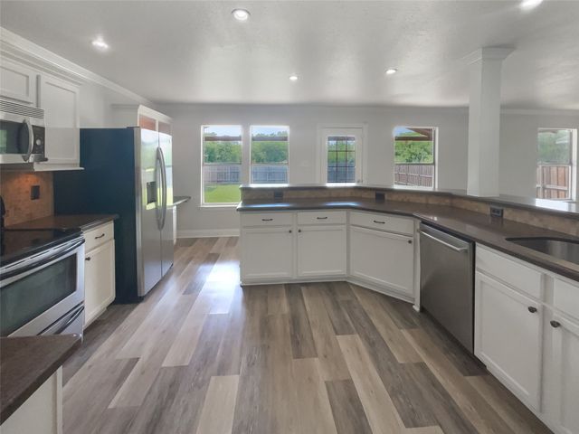2420 Chestnut Drive, Little Elm, TX 75068