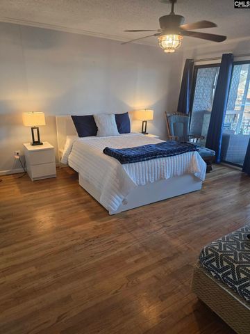 201 Old Cedar Point Road, Chapin, SC 29036