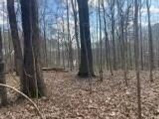 000 Turkey Creek Road, Natchez, MS 39120