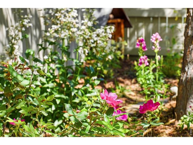 2835 Shadow Lake Rd, Lafayette, CO 80026