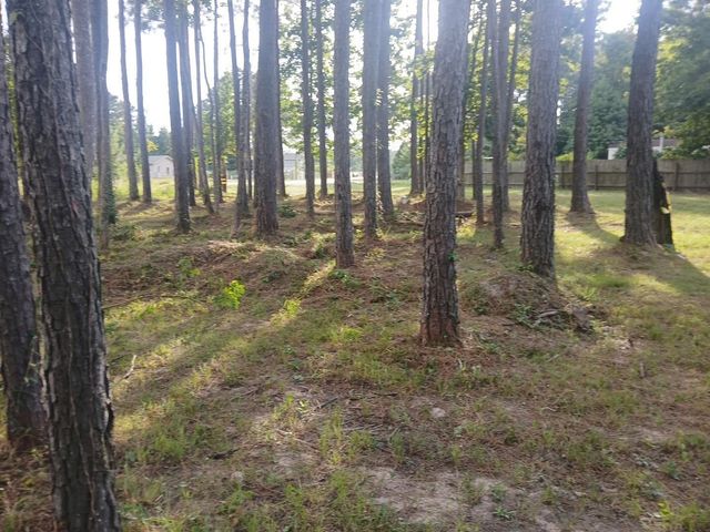 1359 County Road 3479j, Cleveland, TX 77327