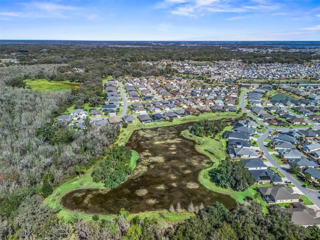 3218 ZIPPERER WAY, The Villages, FL 32163