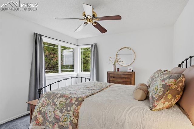 2331 Meadows Lane, Castle Rock, CO 80104