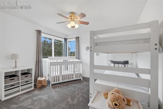 2331 Meadows Lane, Castle Rock, CO 80104