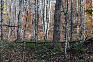 Poolbrook Road, Laurens, NY 13796