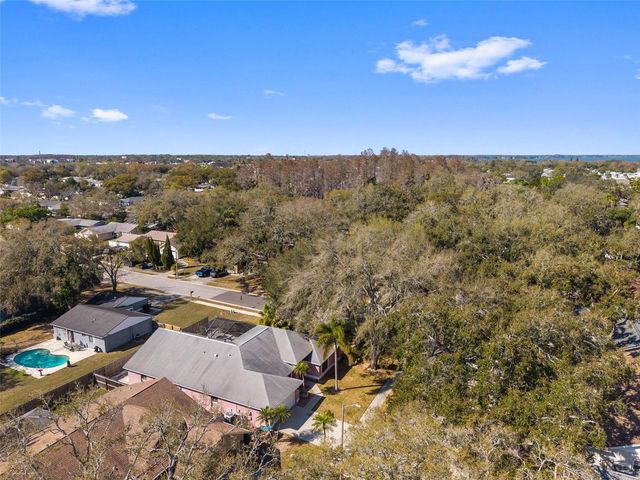 3040 WINDRIDGE OAKS DRIVE, Palm Harbor, FL 34684