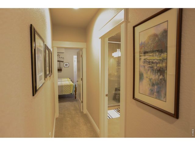 1982 Tidewater Ln, Windsor, CO 80550