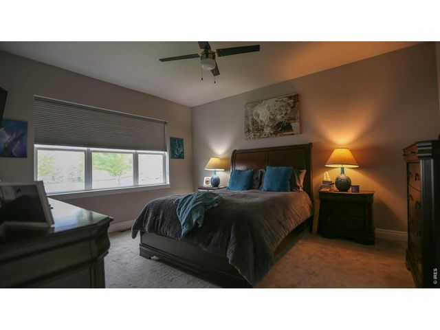 1982 Tidewater Ln, Windsor, CO 80550