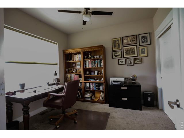 1982 Tidewater Ln, Windsor, CO 80550