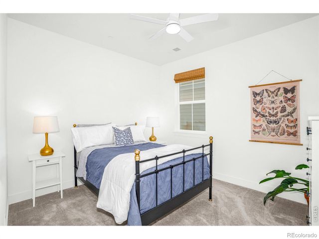 239 Washington Street, Erie, CO 80516
