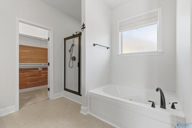 133 Carleighfalls Drive, Meridianville, AL 35759