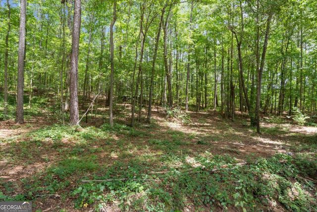 91 Water Spaniel Lane, Carrollton, GA 30116