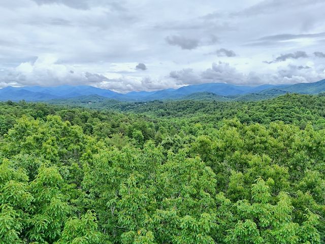 87 Greenberry Trail, Blairsville, GA 30512
